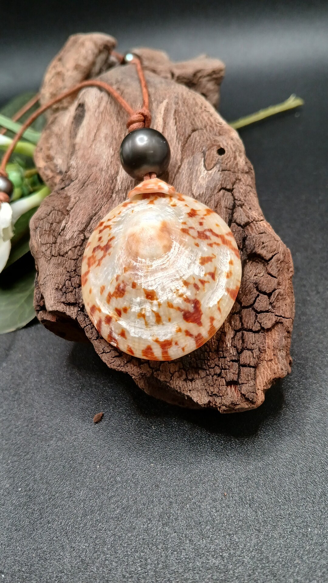 Golden Polished Opihi Lei, Large Hawaii Opihi Necklace, Hawaiian Shell ...