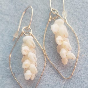 Momi Shell Earrings, Niihau Shell Jewelry, Pikake Style Earrings, Hawaii Shell Hoops, Dangle Shell Hoops, Hawaiian Jewelry, Shells Hawaii