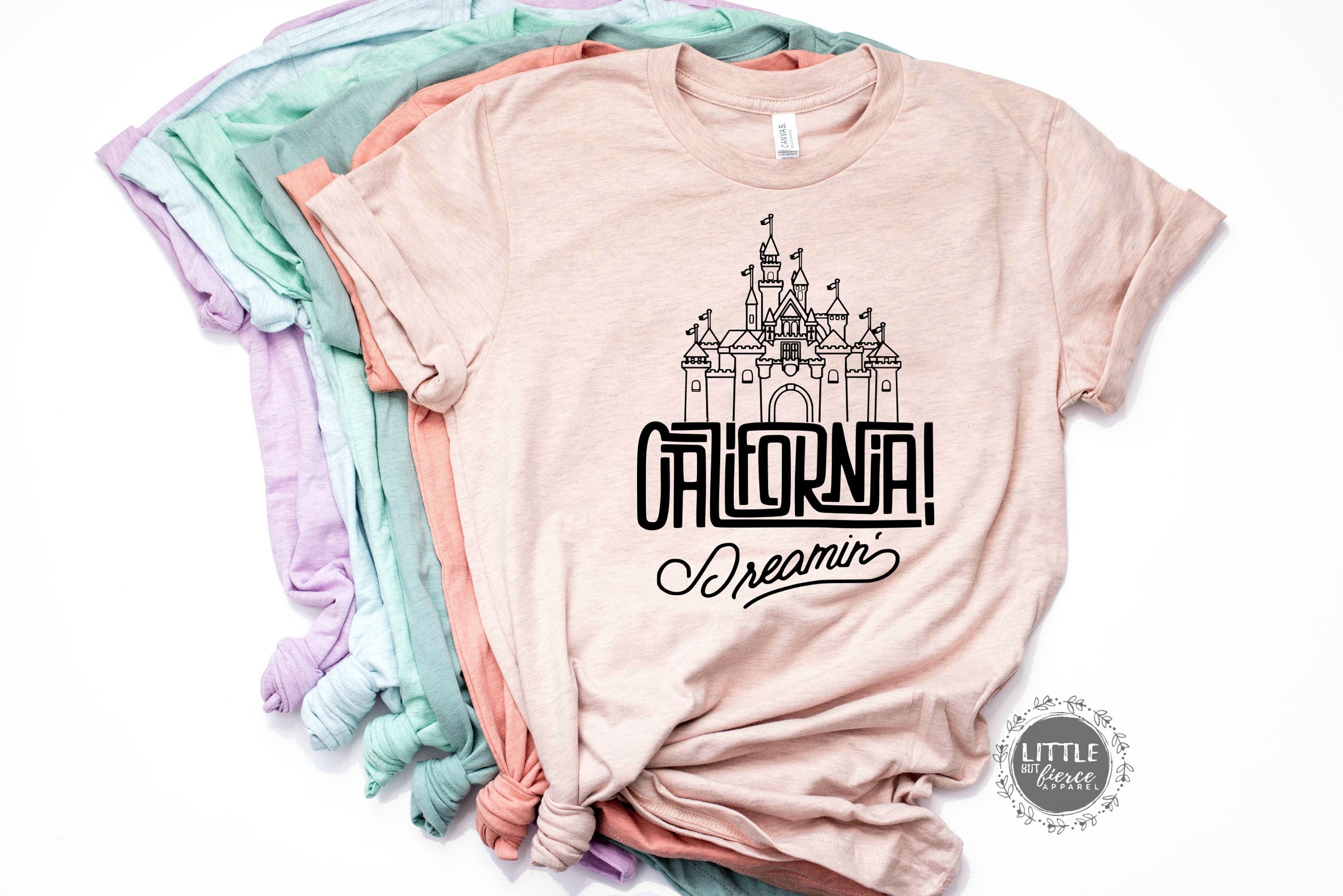 etsy disneyland family shirts