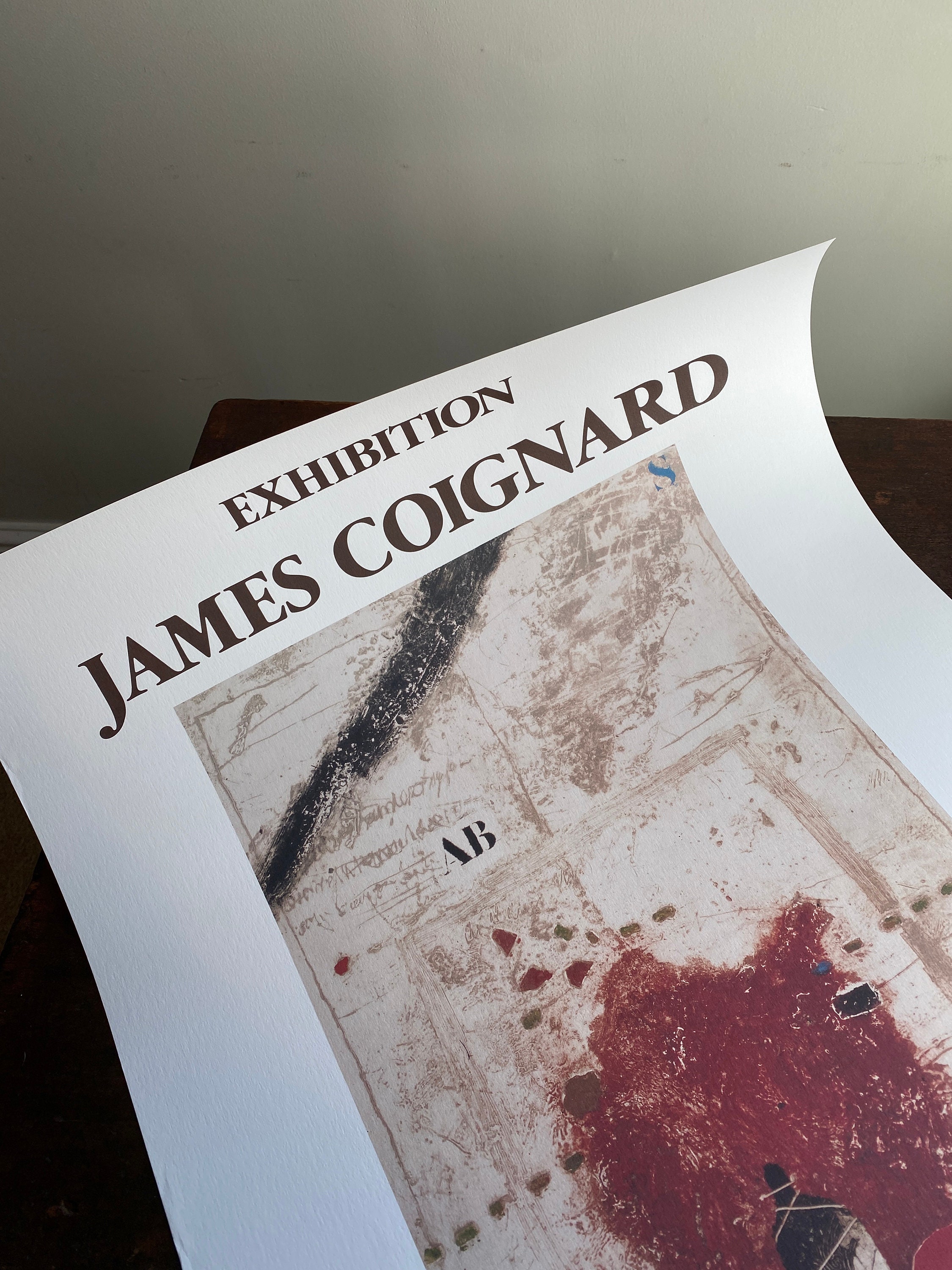 希少！ジェームス・コワニャール　James COIGNARD 画集　フランス版 コワニャール (James Coignard) - Double Verticalites Bleu