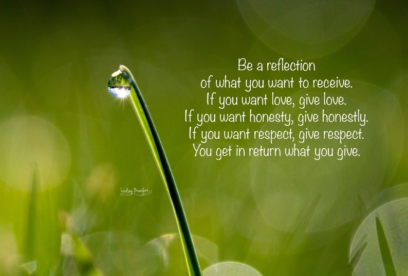 May include: A macro photograph of a blade of grass with a water droplet at the tip, reflecting the environment. The image has a blurred background and includes text that reads, "Be a reflection of what you want to receive."