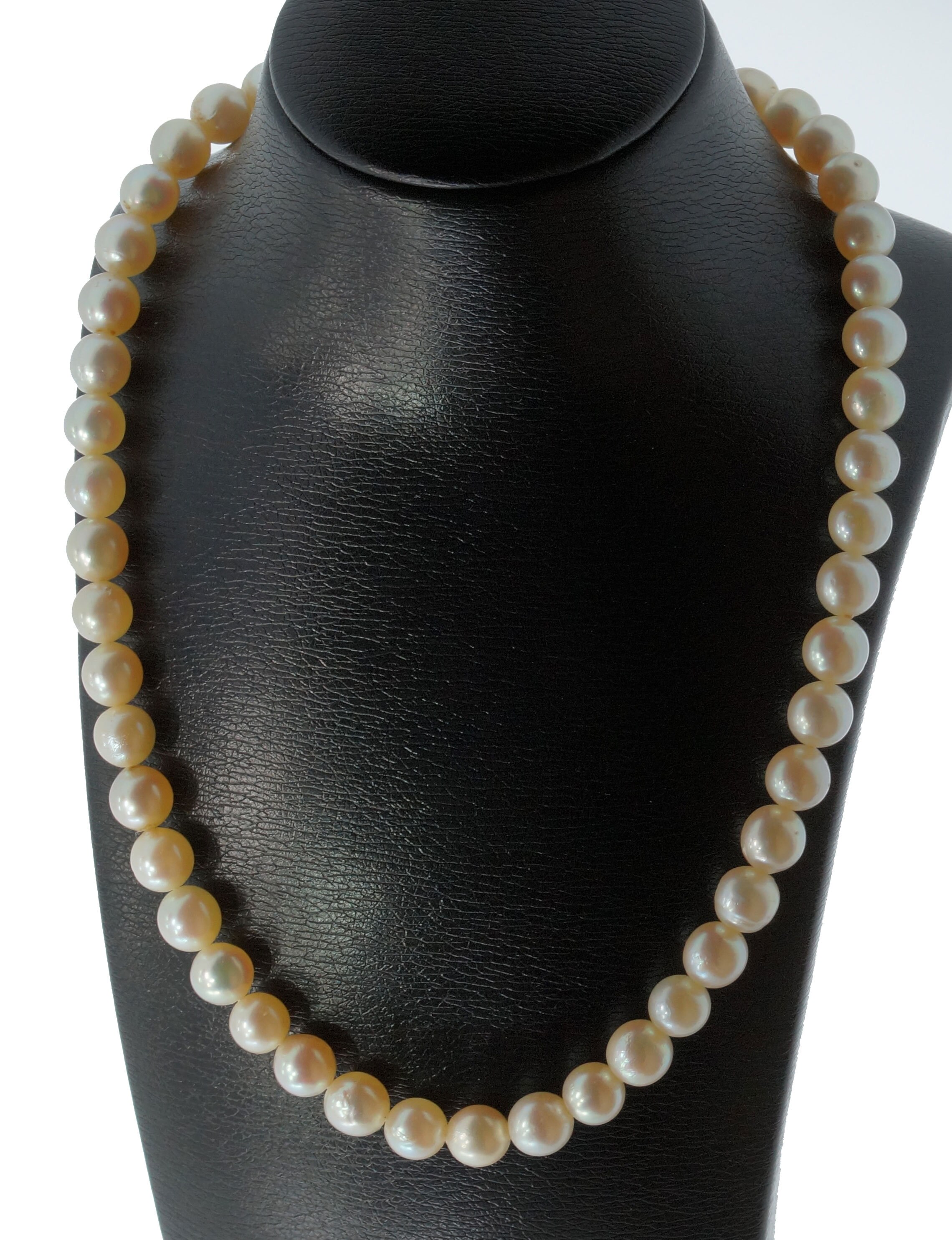 ◆VINTAGE HOLLYWOOD◆ Petit Pearl Rose Necklace VH2435NE009M stage_R.jpg