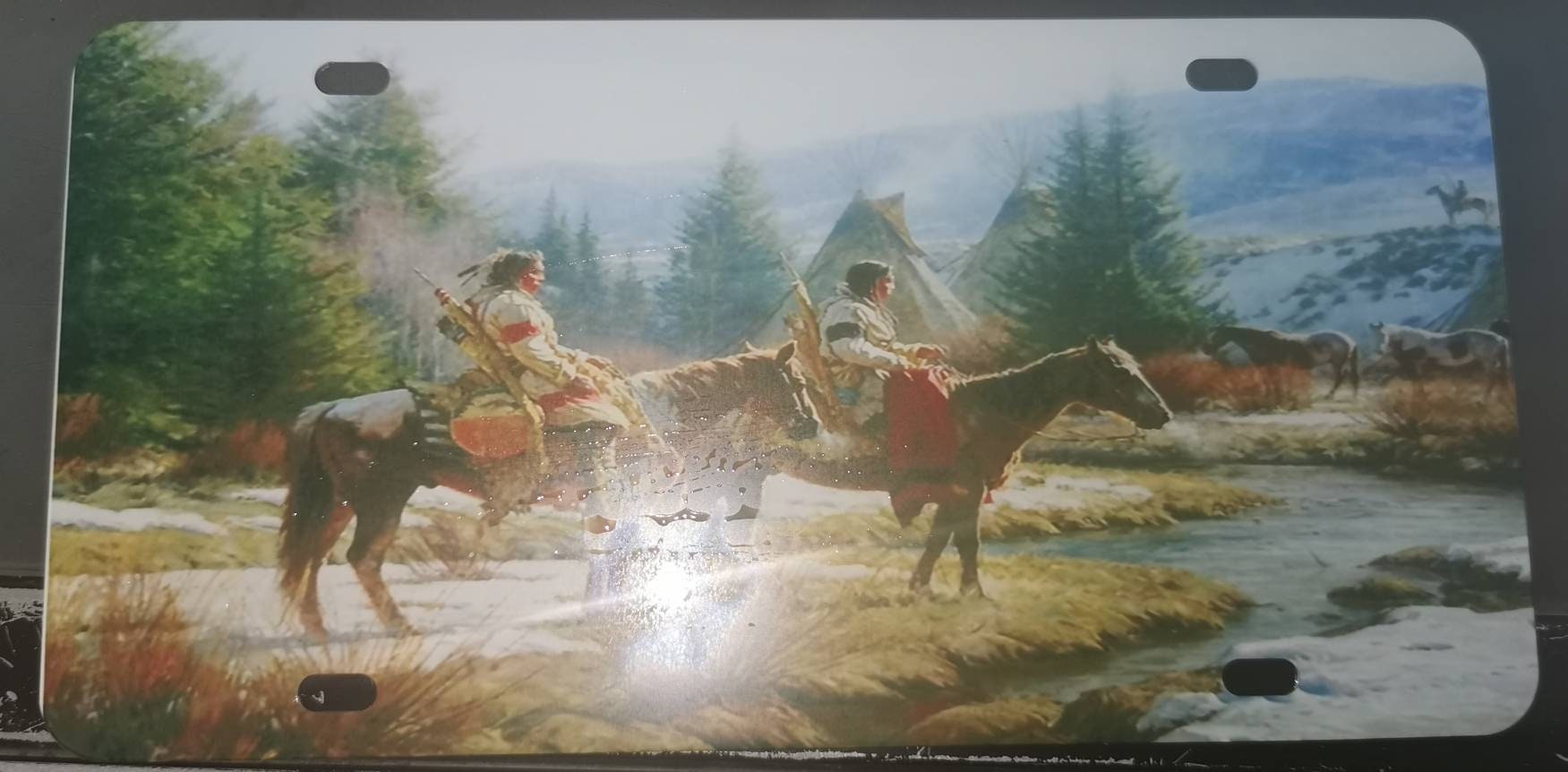 Plaque Immatriculation Us