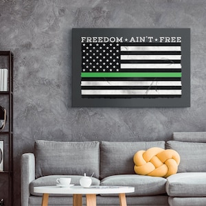 May include: A black and white American flag with a green stripe across the middle. The flag has the text "FREEDOM * AIN'T * FREE" printed above it. The flag is hanging on a grey wall in a living room setting.
