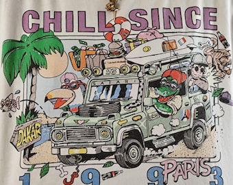 Vintage Paris Dakar 1993 t-shirt / 90's graphic white shirt top
