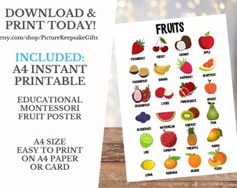 Instant Download | Printable Fruits Educational Poster | Montessori | Waldorf Teaching