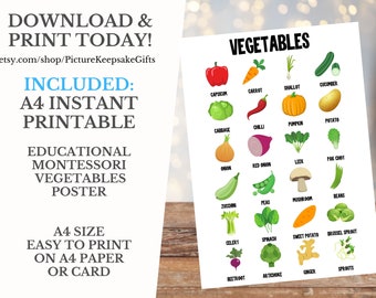 Instant Download | Printable Vegetables Educational Posters | Montessori | Waldorf Teaching