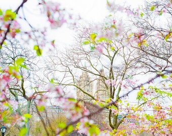 Central Park Spring Print: San Remo Cherry Blossoms, New York City Wall Art