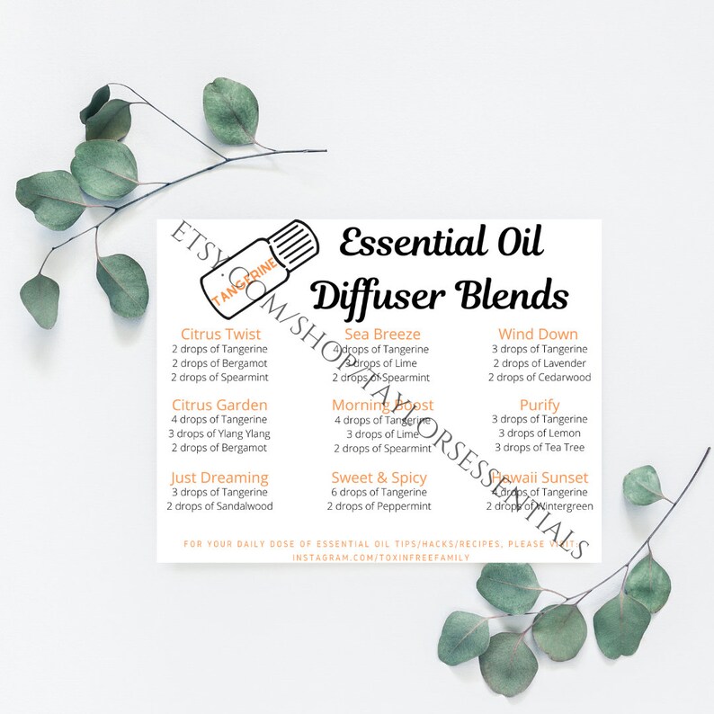 Tangerine Diffuser Blends Tangerine Essential Oil Diffuser Etsy