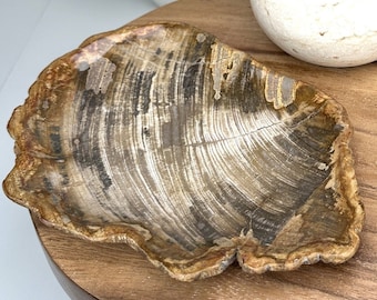 Petrified Wood Plate: Fossilized Stone Trinket Tray, Live Edge Decor