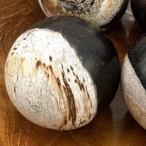 PETRIFIED WOOD SPHERE, Petrified Wood Ball, Fossilized Wood Balls, Indonesian image 5