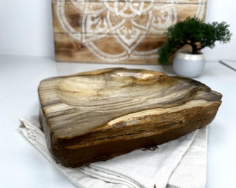 PETRIFIED WOOD DISH, Fossil Wood Slab, Polished Petrified Wood Plate, Petrified