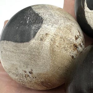 PETRIFIED WOOD SPHERE, Petrified Wood Ball, Fossilized Wood Balls, Indonesian image 7