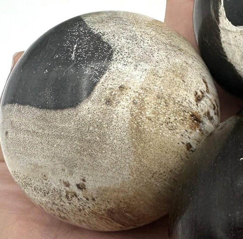 PETRIFIED WOOD SPHERE, Petrified Wood Ball, Fossilized Wood Balls, Indonesian image 7