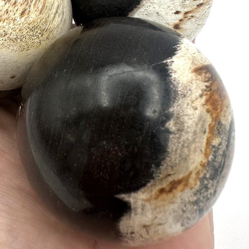 PETRIFIED WOOD SPHERE, Petrified Wood Ball, Fossilized Wood Balls, Indonesian image 9