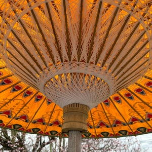 Yellow umbrella