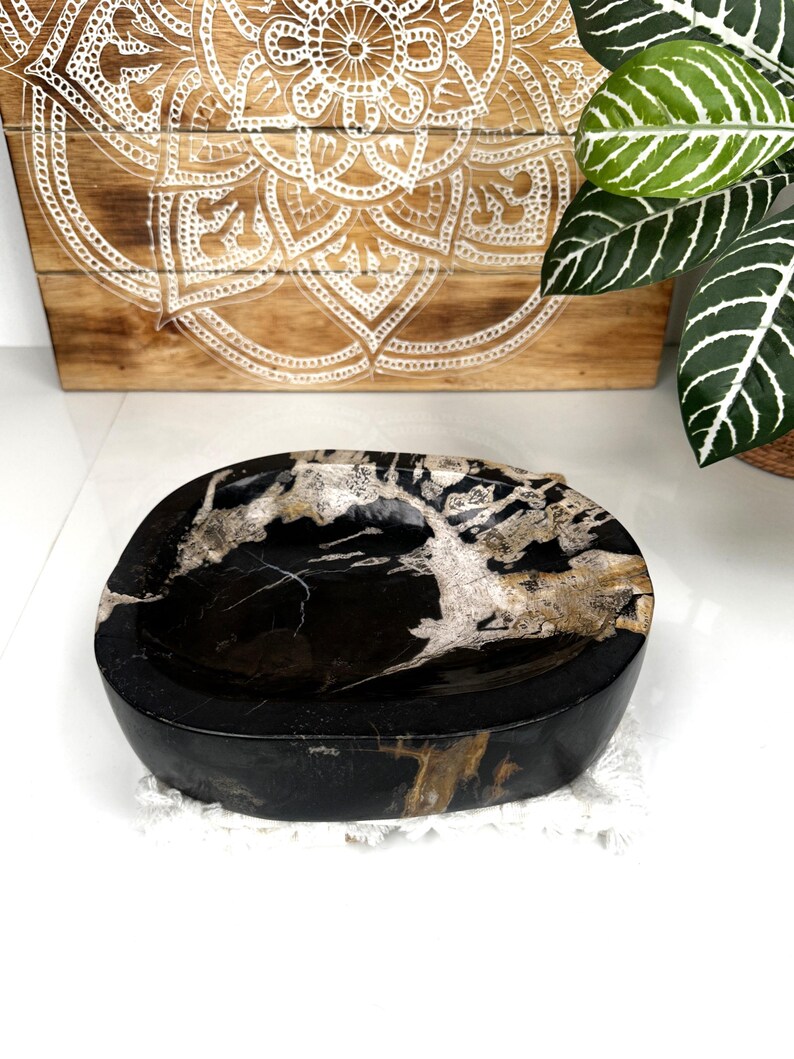 NATURAL SOAP DISH, Fossil Wood Slab, Petrified Wood Plate, Round Stone