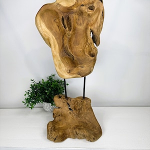 Teak Root Sculpture: Handcrafted Wood Art (32x15x2in)
