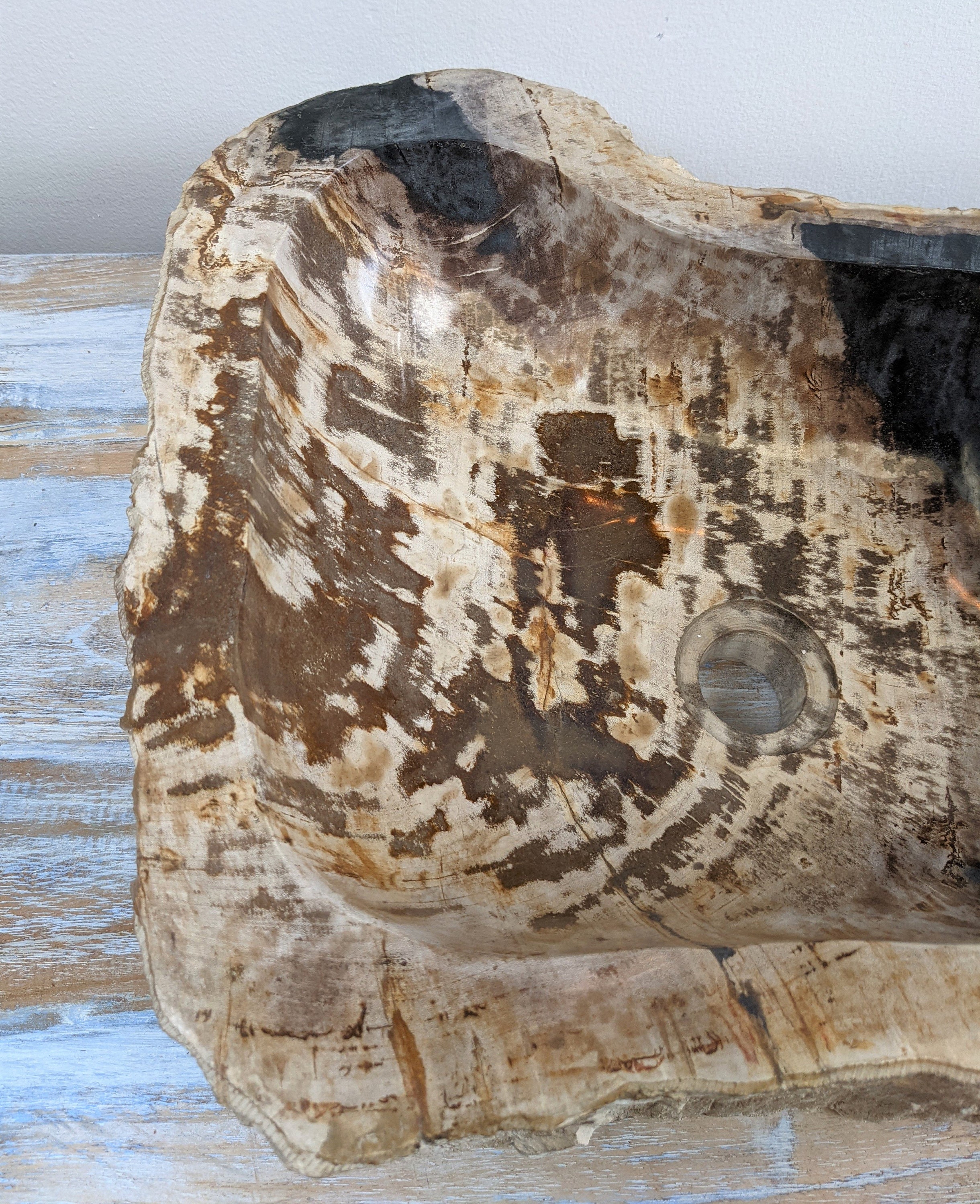 FREGADERO DE MADERA PETRIFICADA Fregaderos de recipientes de | Etsy