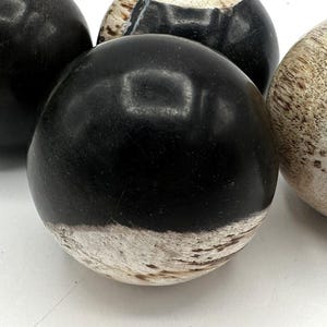 PETRIFIED WOOD SPHERE, Petrified Wood Ball, Fossilized Wood Balls, Indonesian image 2