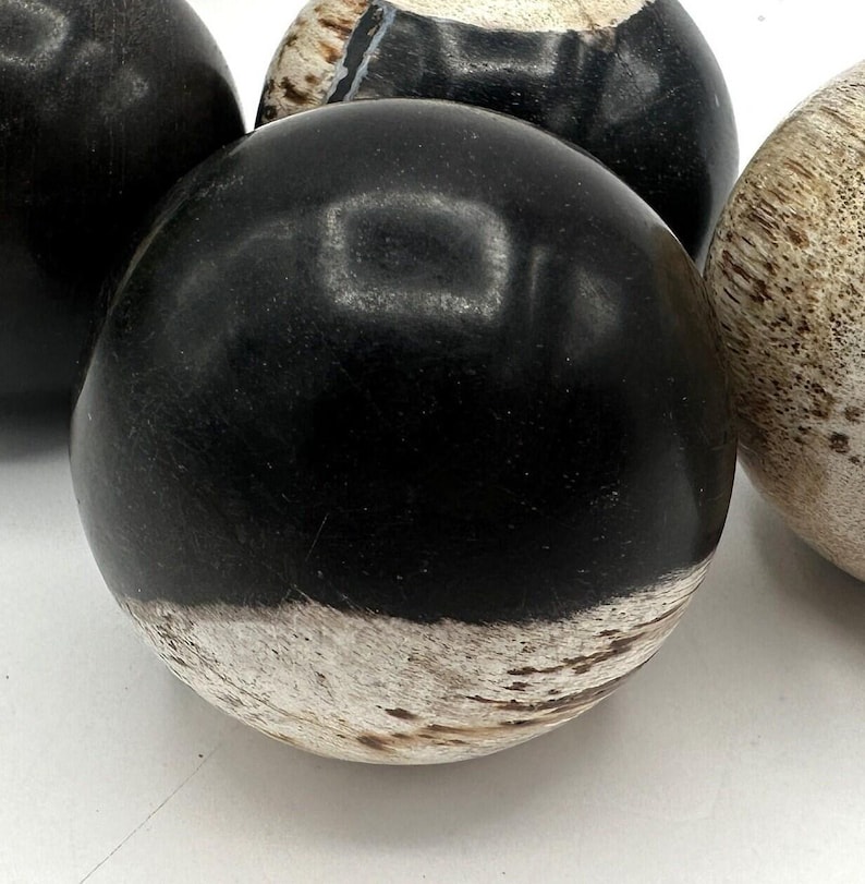 PETRIFIED WOOD SPHERE, Petrified Wood Ball, Fossilized Wood Balls, Indonesian image 2