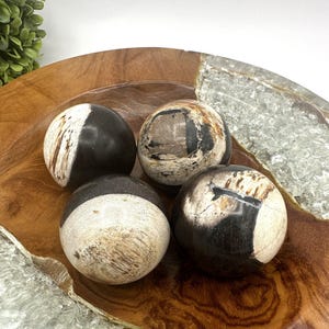 PETRIFIED WOOD SPHERE, Petrified Wood Ball, Fossilized Wood Balls, Indonesian image 4