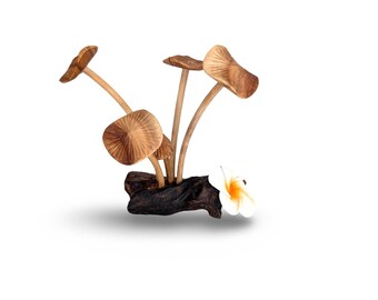 TEAK MUSHROOM FIGURINE, Nature wood Carving, Wooden Mushrooms Art, Rustic