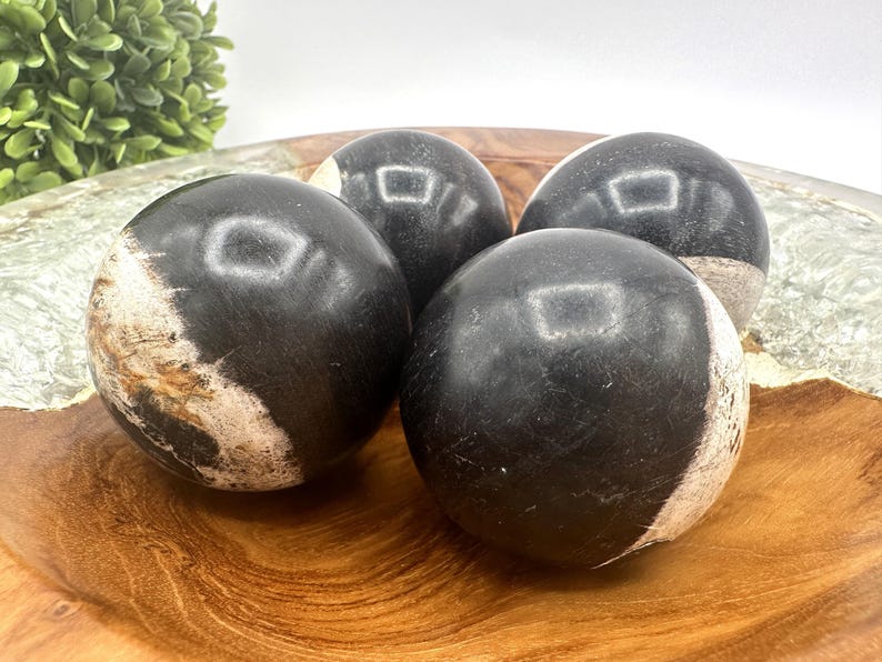 PETRIFIED WOOD SPHERE, Petrified Wood Ball, Fossilized Wood Balls, Indonesian image 8