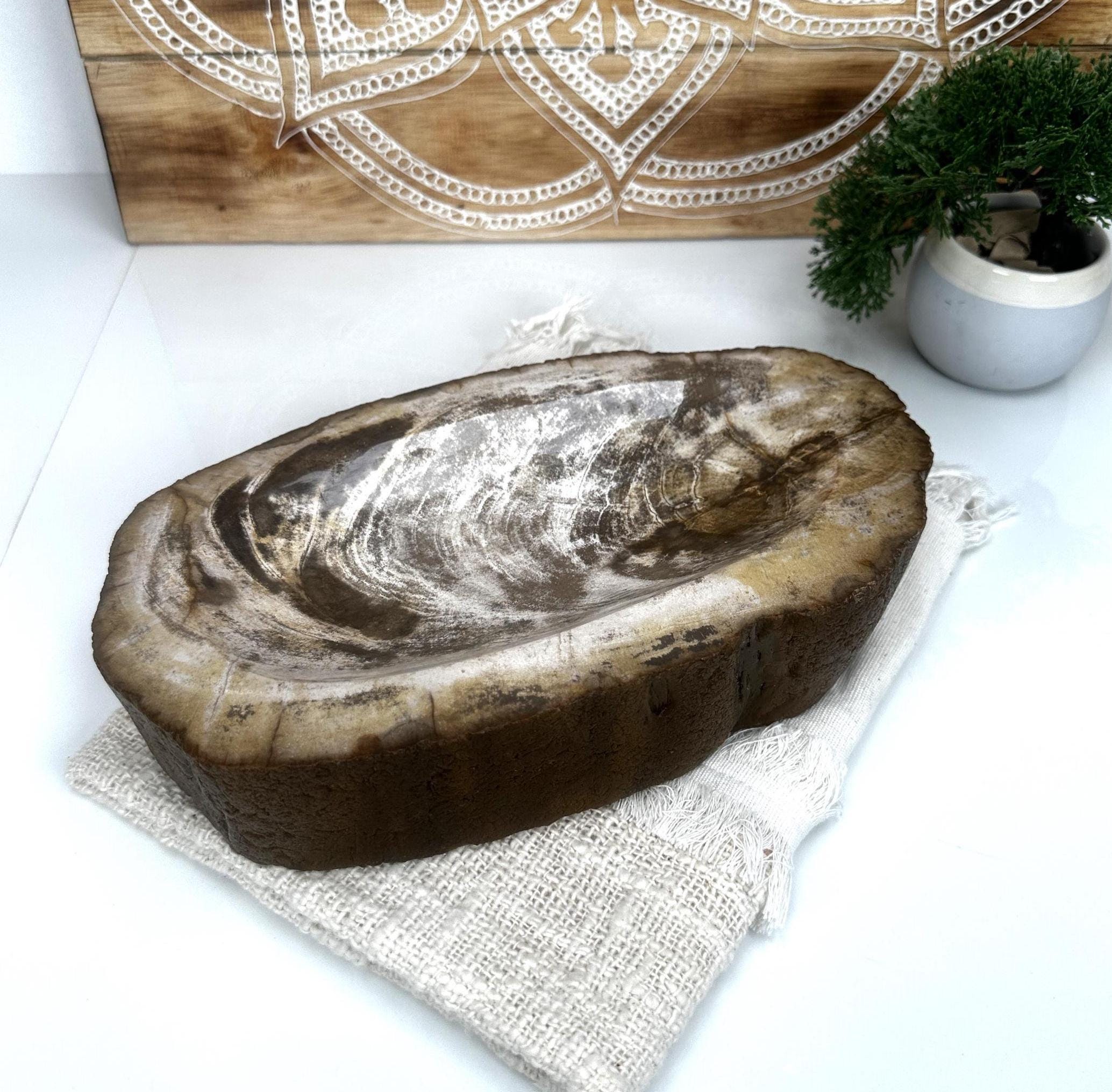 Petrified Wood Tray - Etsy