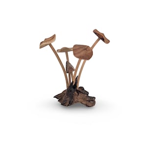 TOADSTOOL ORGANIC FIGURINE, Nature wood Carving, Wooden Mushrooms Art, Rustic Teak Mushrooms, Hand-Carved Mushroom, Decorative Teak Mushroom