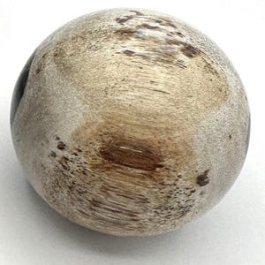 PETRIFIED WOOD SPHERE, Petrified Wood Ball, Fossilized Wood Balls, Indonesian image 6