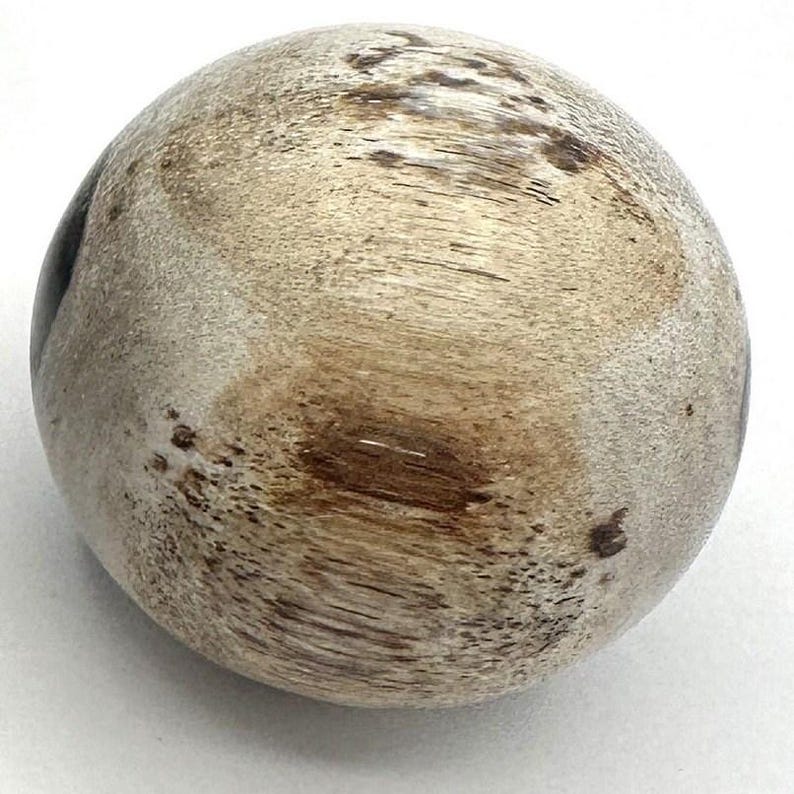 PETRIFIED WOOD SPHERE, Petrified Wood Ball, Fossilized Wood Balls, Indonesian image 6