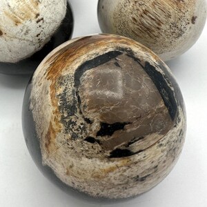 PETRIFIED WOOD SPHERE, Petrified Wood Ball, Fossilized Wood Balls, Indonesian image 3