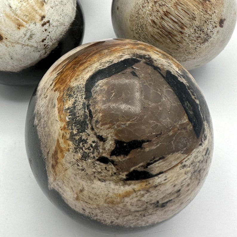 PETRIFIED WOOD SPHERE, Petrified Wood Ball, Fossilized Wood Balls, Indonesian image 3
