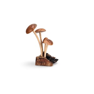 RUSTIC WOODEN MUSHROOM, Hand-Carved Mushroom, Decorative Mushroom, Nature Wood Carving, Wooden Mushrooms Art, Rustic Mushrooms, Fungi Figure