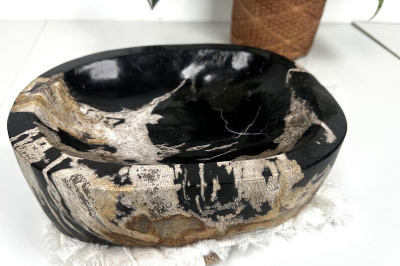 NATURAL SOAP DISH, Fossil Wood Slab, Petrified Wood Plate, Round Stone