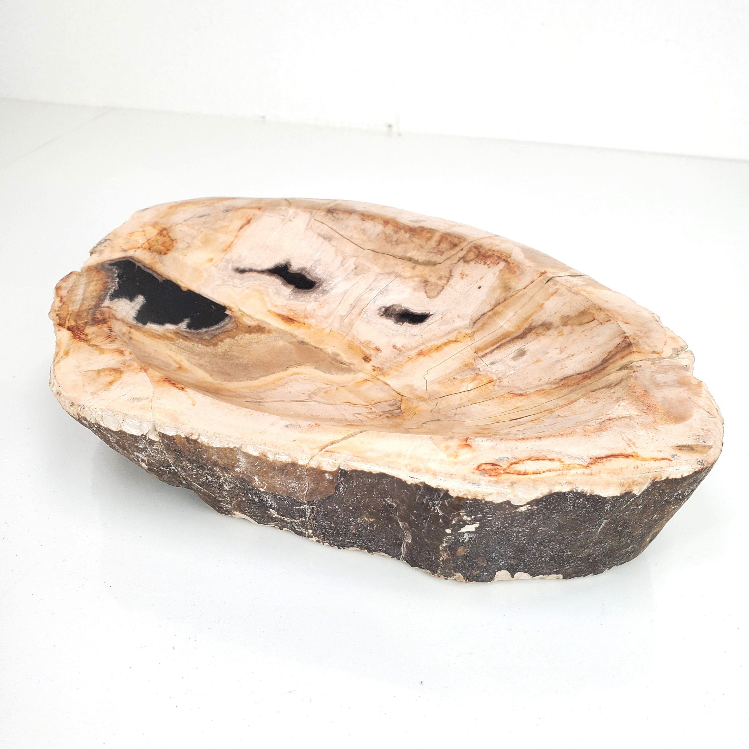 Petrified Wood Trinket Dish: Natural Stone Snack Bowl