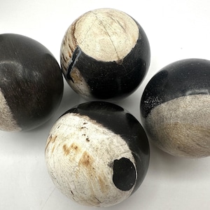 PETRIFIED WOOD SPHERE, Petrified Wood Ball, Fossilized Wood Balls, Indonesian image 1