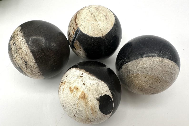 PETRIFIED WOOD SPHERE, Petrified Wood Ball, Fossilized Wood Balls, Indonesian image 1