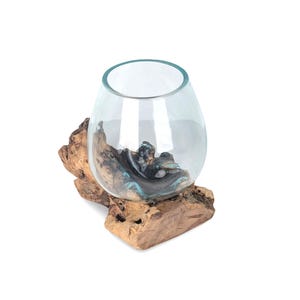May include: A clear glass terrarium with a rounded shape, resting on a piece of natural driftwood. The driftwood is light brown with a textured surface. The terrarium contains a dark, possibly resin, element inside.