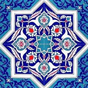 Puede incluir: Un azulejo de cerámica azul y blanco con un diseño en forma de estrella. El azulejo presenta intrincados patrones florales en rojo, blanco y azul.