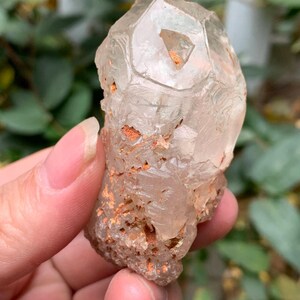 May include: A clear quartz crystal with a faceted top and rough, textured base. The crystal has a natural, raw appearance with hints of orange and brown inclusions. The crystal is held in a hand against a blurred green background.