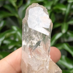 Special Offer!Rare Skeletal Clear Quartz Crystal, Rrainbow,Natural Elestial Quartz Specimen, Raw Healing Crystal with Golden Inclusions