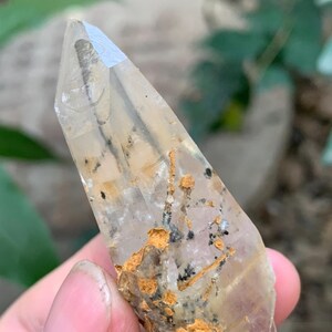 以下が含まれることがあります： 自然な粗い基底を持つ透明な水晶の結晶ポイント。結晶は鋭くファセット加工された先端を持ち、内部には黒と金のインクルージョンがあります。水晶は、ぼやけた緑色の背景に対して手で持たれています。