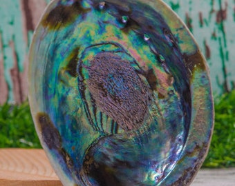 Wholesale Rainbow Abalone Shell,Smudge Bowl,Sage Dish,Abalone Dish,The back is polished,Smudge Tools,Cleansing,Metaphysical,Bohemian