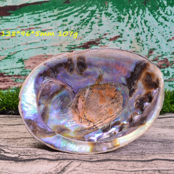 Rainbow Abalone Shell,Smudge Bowl,Sage Dish,Abalone Dish,Decor,Smudge Tools,Cleansing,Purification,Metaphysical,Clearing Tools,Bohemian