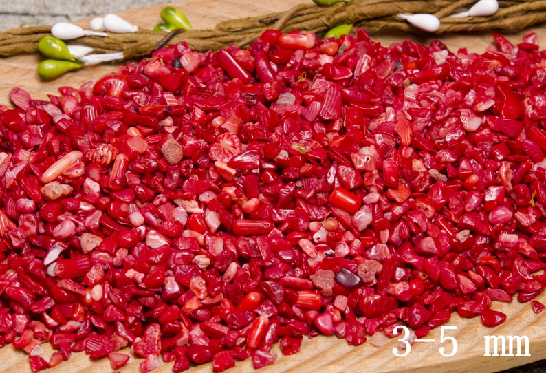 Wholesale Natural Red Coral Crystal Stonered Coral Etsy