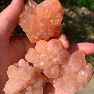 Puede incluir: Un grupo de cristales de color melocotón, sostenidos en una mano. Los cristales tienen una superficie rugosa y texturizada y una apariencia translúcida. Los cristales están agrupados en una formación natural.