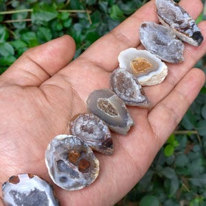 May include: A collection of polished agate stones in various shapes and sizes, displayed in a hand. The stones feature a mix of gray, brown, and white colors with unique internal patterns. The background is a blurred view of green foliage.