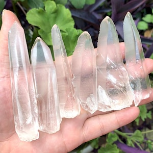 YOU PICK!Clear Lemurian Quartz Crystal Points/Scalpel Crystal/Muzo Quartz/Laser Crystal/Healing Crystal/Meditation/Chakra/Crystal Colletion